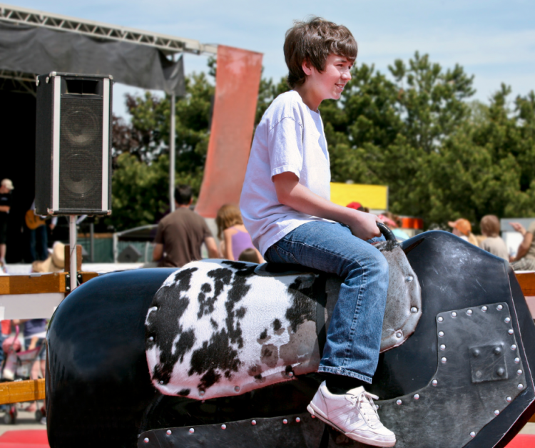 Mechanical bulls