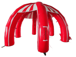 New Inventory - Candy Stripe Canopy